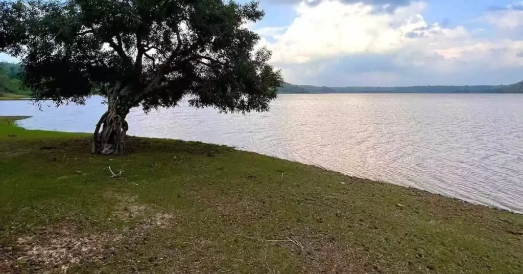 Pariyat Dam Jabalpur