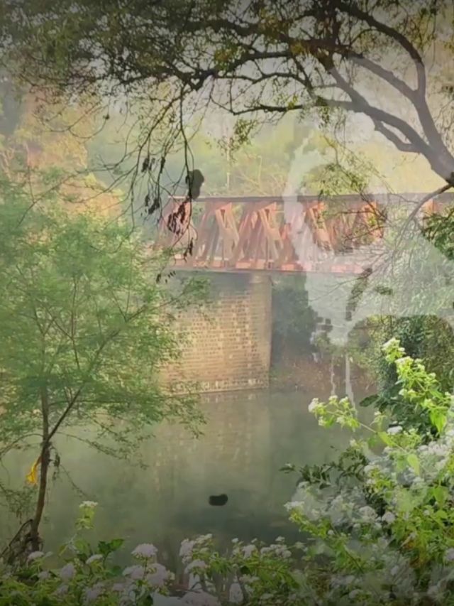 भूतिया Hamilton Bridge jabalpur का निर्माण अंग्रेजों द्वारा 20वीं सदी मैं हुआ था।