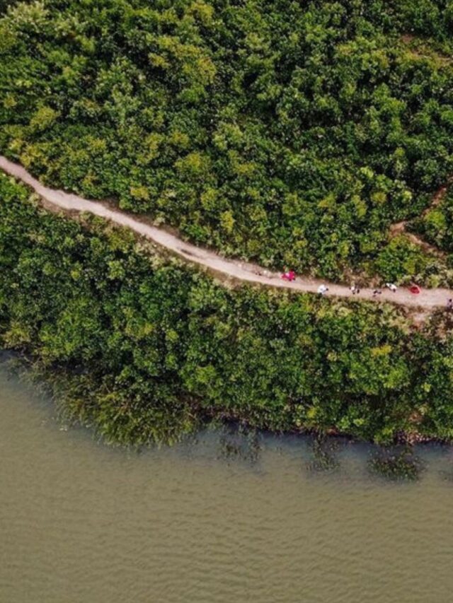 Pariyat Dam Jabalpur वृक्ष, पौधों, और फूलों से सजा हुआ है।